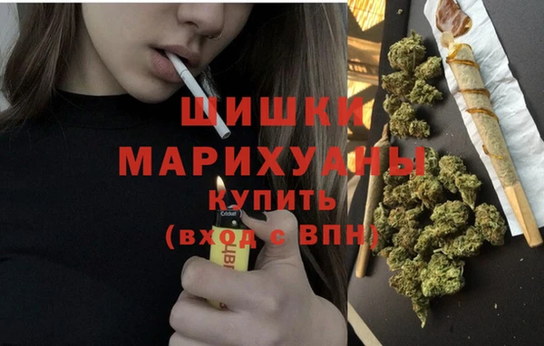 прущие грибы Лагань