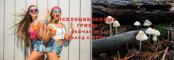 дживик Иннополис