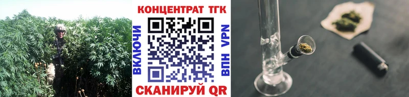 где купить наркоту  Вольск  ТГК THC oil 
