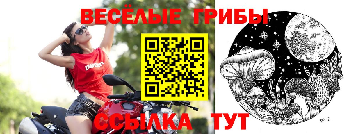 Псилоцибиновые грибы MAGIC MUSHROOMS Вольск