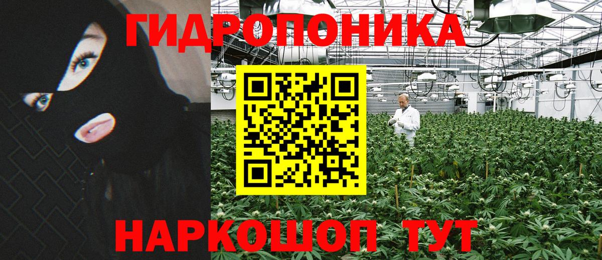 Канабис Amnesia Вольск